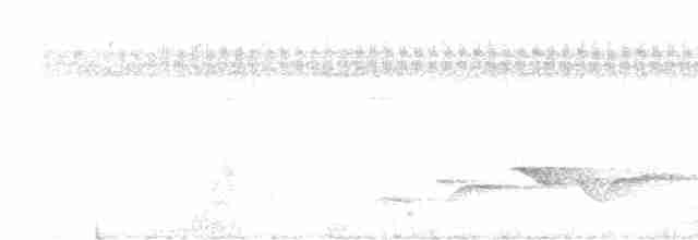 White-chested Babbler - ML601462871
