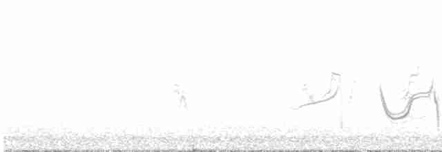 Long-tailed Meadowlark - ML601485721