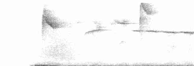 White-browed Warbler - ML601487301