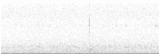 Istingor arrunta - ML601504571
