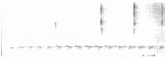 Kısa Gagalı Sepetören - ML601513611