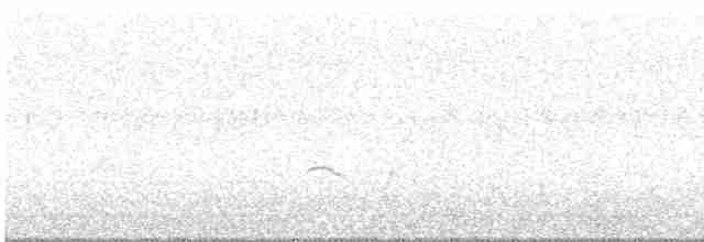 kulík říční (ssp. curonicus) - ML601519341