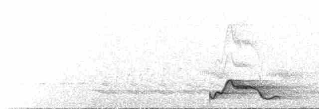 Pauraquenachtschwalbe - ML601522631