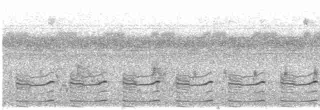 chřástalík kaštanovoprsý - ML601526121
