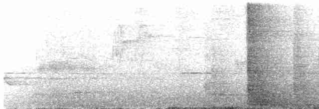 Gri Kanatlı Karatavuk - ML601543971