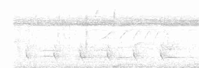 Southern White-fringed Antwren - ML601563181