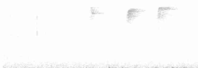 Weißkehl-Ameisenvogel - ML601594931