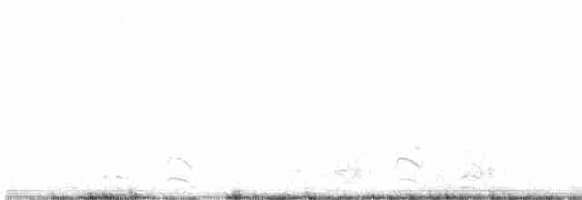 Large-billed Tern - ML601600181