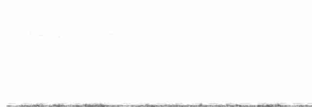Lapon Baykuşu - ML601693351