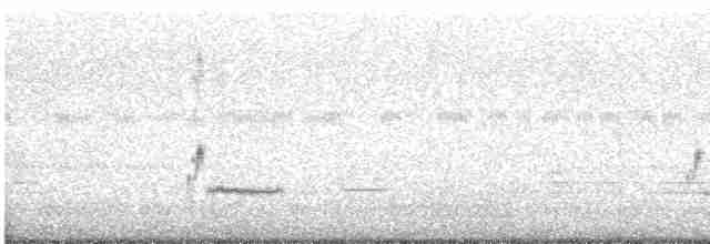 Loggerhead Shrike - ML601696601