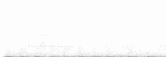 Жёлтый толстонос (aurantiacus) - ML601715771
