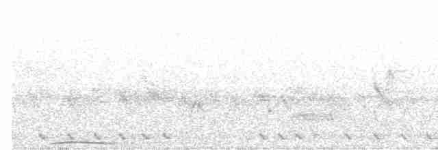 Barred Cuckoo-Dove - ML601789731