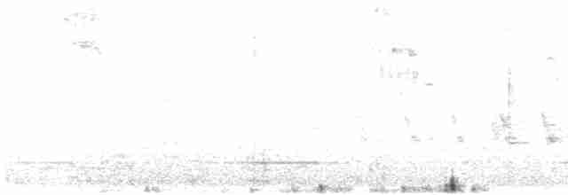 pěnkava tenerifská - ML601802061