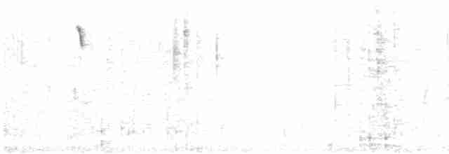 pěnkava tenerifská - ML601802591
