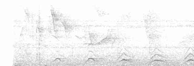Black-tailed Trogon - ML601825221