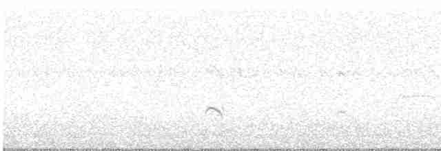 kulík říční (ssp. curonicus) - ML601834221