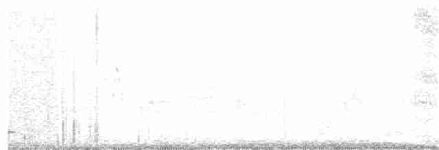 Cerulean Warbler - ML60183591