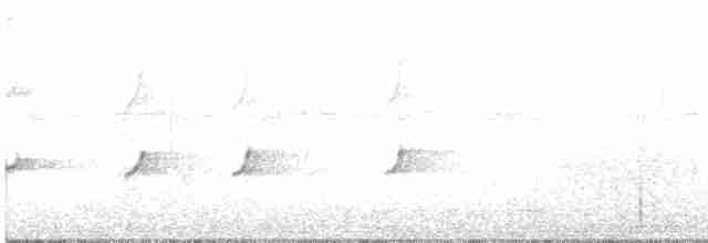 Dominik Palmiyekuşu - ML601838521