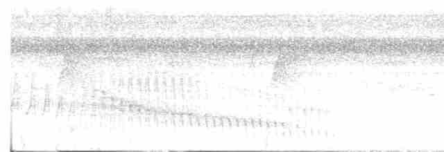 Bluish-slate Antshrike - ML601859231