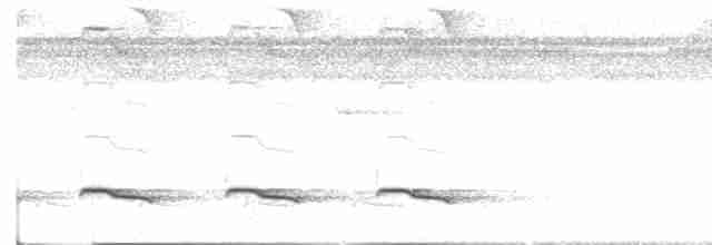 Weißschulter-Ameisenvogel - ML601859601