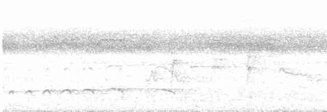 Серый тиранн-плакса - ML601861961