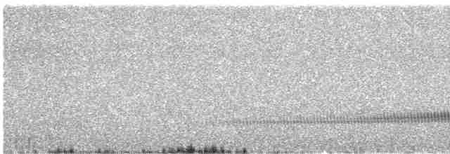Çizgili Başlı Yerçavuşu - ML601873611