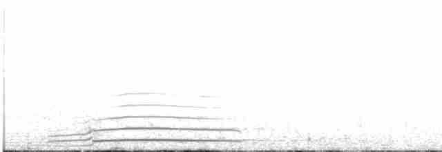 Plongeon arctique - ML601935581