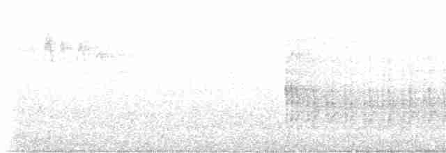 Опоясанный зимородок - ML601942691