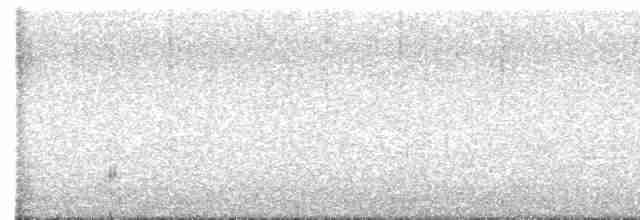 Thicket Tinamou - ML601984341