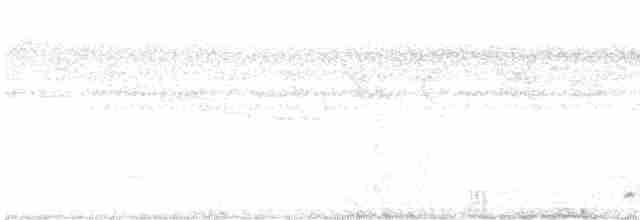 Gray-hooded Babbler - ML602011351
