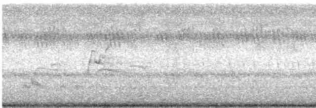 Dendrocygne siffleur - ML602047581
