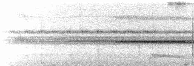 Augennachtschwalbe - ML602101531