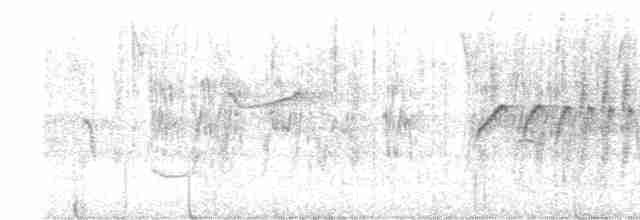 Тиран-карлик амазонійський - ML602101771