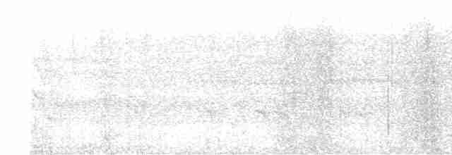 Ak Kaşlı Karıncakuşu - ML602102461