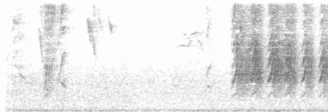 Eufonia Ventricastaña - ML602109761