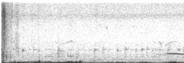 Trogón Citrino - ML602115011
