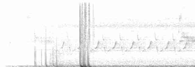 Loggerhead Shrike - ML602117031