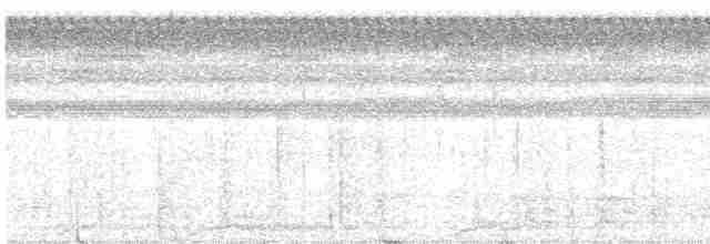 Variegated Tinamou - ML602117581