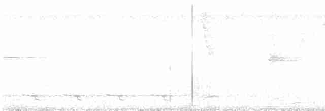 rorýs tmavopláštíkový - ML602122561