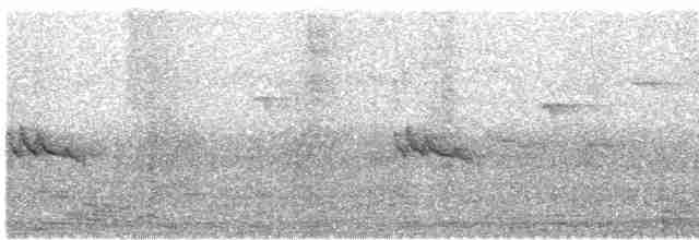 Külrengi Karınlı Gözlükçü - ML602149771