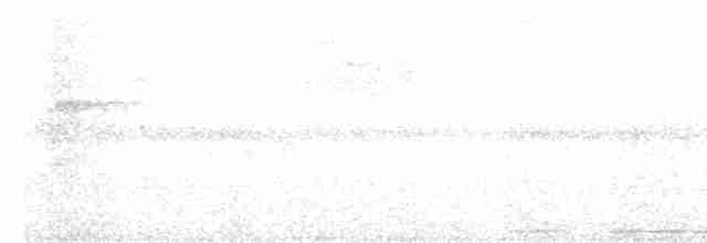 holub šedočelý - ML602181101