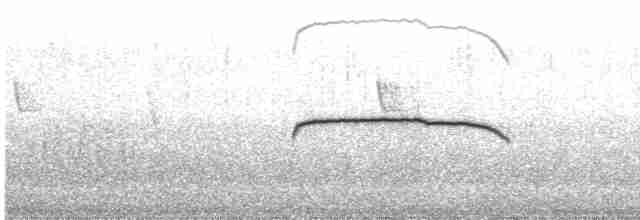 Патагонский мухолов - ML602181281