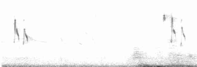 White-bridled Finch (Fuegian) - ML602255721