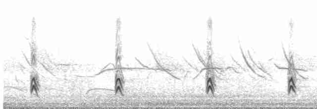 Long-tailed Meadowlark - ML602277931
