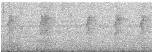 Зелёный колибри-отшельник - ML602301311