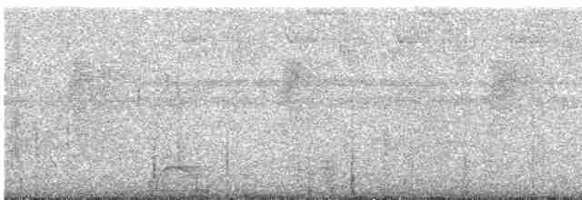 Bar-crested Antshrike - ML602305691