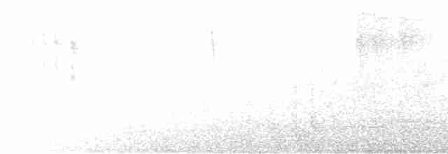 Rostflankenkleiber - ML602315941