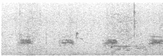 Озёрная чайка - ML602352161