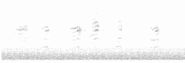 Woodchat Shrike - ML602374191