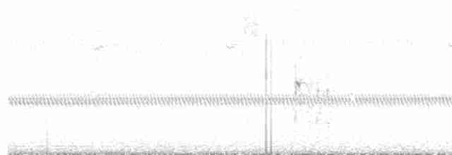 White-headed Woodpecker - ML602392841